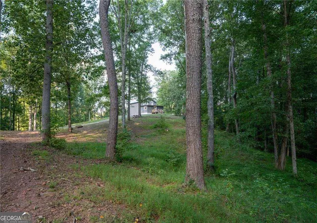 Photo 3 of Single family home for sale at 678 River Bnd Rd SW, Plainville, GA 30733 | MLS# 10839609 | Listing updated on 2026-10-03