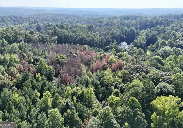 Photo 3 of Land for sale at 0 Tract A Cool Springs Rd, Winston, GA 30187 | MLS# 10841374 | Listing updated on 2026-09-07