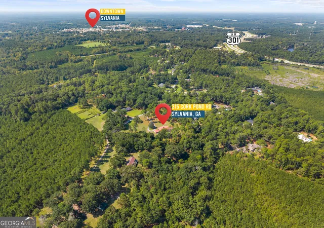 Photo 3 of Single family home for sale at 315 Cork Pond Rd, Sylvania, GA 30467 | MLS# 10838167 | Listing updated on 2026-09-16