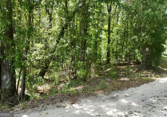 Photo 3 of Land for sale at 0 Wilson Rd, Warrenton, GA 30828 | MLS# 10842610 | Listing updated on 2026-09-23