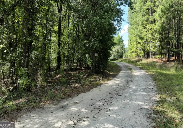 Photo 4 of Land for sale at 0 Wilson Rd, Warrenton, GA 30828 | MLS# 10842610 | Listing updated on 2026-09-23