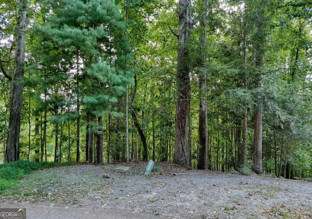Photo 2 of Land for sale at Lot 29 Harris Ridge Rd, Young Harris, GA 30582 | MLS# 10844512 | Listing updated on 2026-09-11