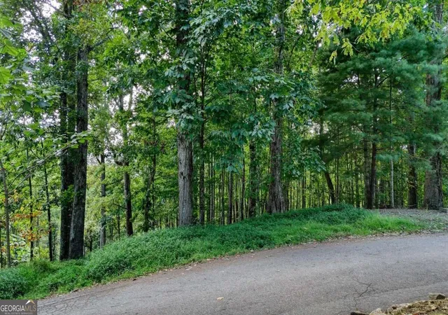 Photo 3 of Land for sale at Lot 29 Harris Ridge Rd, Young Harris, GA 30582 | MLS# 10844512 | Listing updated on 2026-09-11
