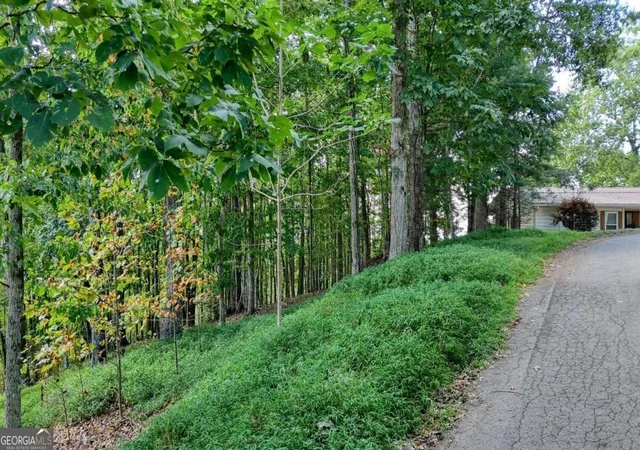 Photo 4 of Land for sale at Lot 29 Harris Ridge Rd, Young Harris, GA 30582 | MLS# 10844512 | Listing updated on 2026-09-11