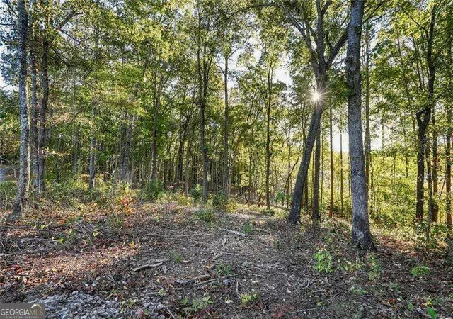 Photo 2 of Land for sale at 650 Chattin Dr, Canton, GA 30115 | MLS# 10879211 | Listing updated on 2026-10-27