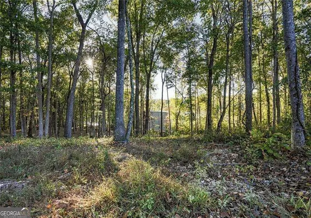 Photo 3 of Land for sale at 650 Chattin Dr, Canton, GA 30115 | MLS# 10879211 | Listing updated on 2026-10-27