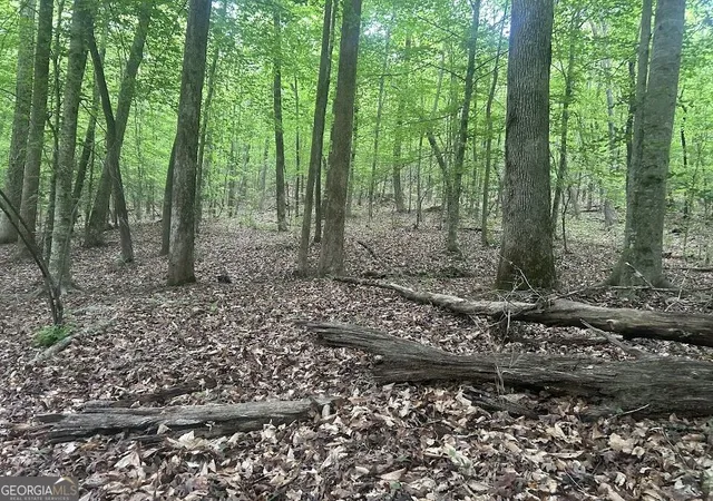 Photo 1 of Land for sale at 236 Riversong (tract 8) #(TRACT 8), Carrollton, GA 30117 | MLS# 10702729 | Listing updated on 2026-09-02