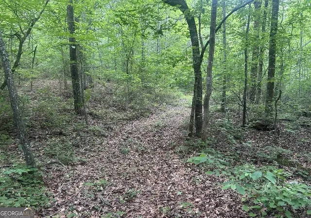 Photo 2 of Land for sale at 236 Riversong (tract 8) #(TRACT 8), Carrollton, GA 30117 | MLS# 10702729 | Listing updated on 2026-09-02