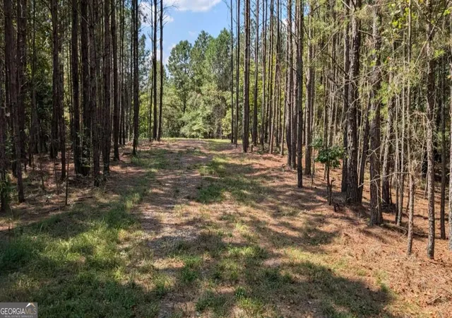 Photo 3 of Land for sale at 1150 Ballard Rd, Ball Ground, GA 30107 | MLS# 10851135 | Listing updated on 2026-10-06