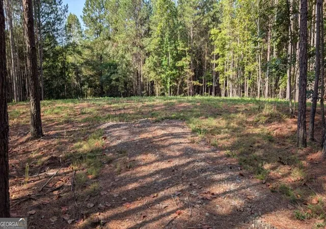 Photo 3 of Land for sale at 1150 Ballard Rd, Ball Ground, GA 30107 | MLS# 10851135 | Listing updated on 2026-10-06