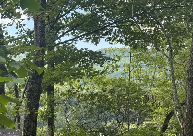 Photo 3 of Land for sale at 0000 Bethabara View #11, Hayesville, NC 28904 | MLS# 10841648 | Listing updated on 2026-09-22