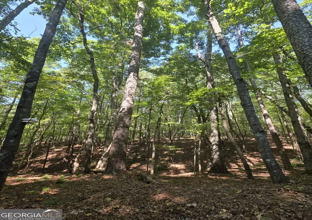 Land for sale at 0 Browntown, Rockmart, GA 30153 | MLS# 10848145