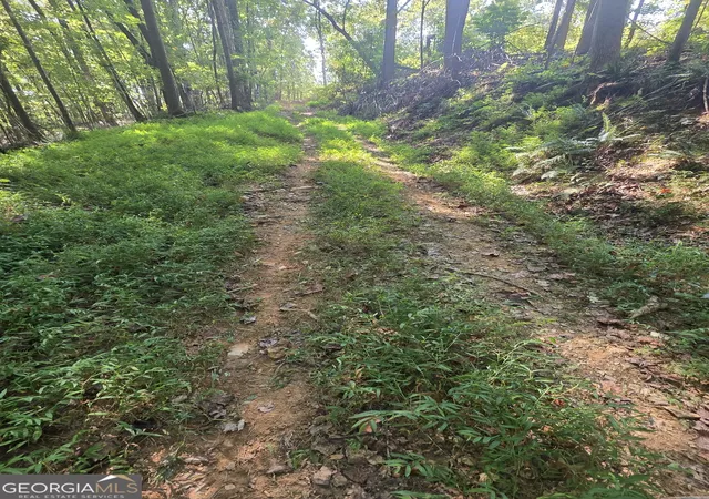 Photo 3 of Land for sale at 0 Browntown, Rockmart, GA 30153 | MLS# 10848145 | Listing updated on 2026-10-06