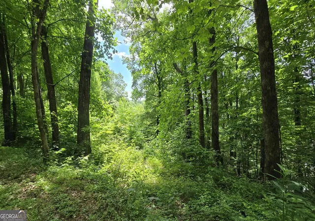 Photo 1 of Land for sale at Lot 30 High Meadows, Hayesville, NC 28904 | MLS# 10846195 | Listing updated on 2026-09-30