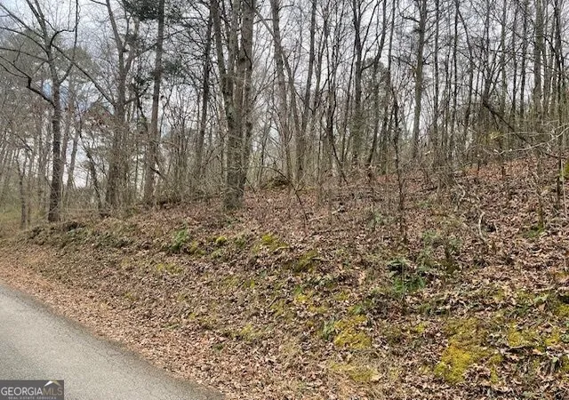Photo 2 of Land for sale at 00 Wooten Ln, Chickamauga, GA 30707 | MLS# 10839292 | Listing updated on 2026-09-17