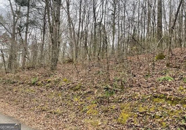 Photo 3 of Land for sale at 00 Wooten Ln, Chickamauga, GA 30707 | MLS# 10839292 | Listing updated on 2026-09-17
