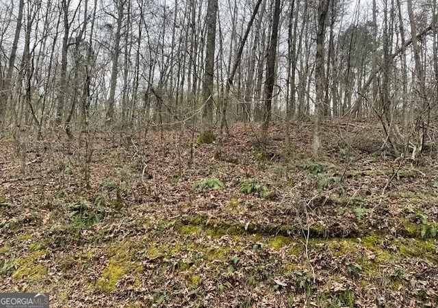 Photo 4 of Land for sale at 00 Wooten Ln, Chickamauga, GA 30707 | MLS# 10839292 | Listing updated on 2026-09-17
