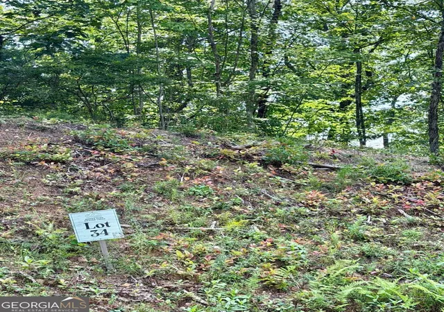 Photo 2 of Land for sale at Lot 34 Blue Horizon Dr, Blue Ridge, GA 30513 | MLS# 10848074 | Listing updated on 2026-09-17
