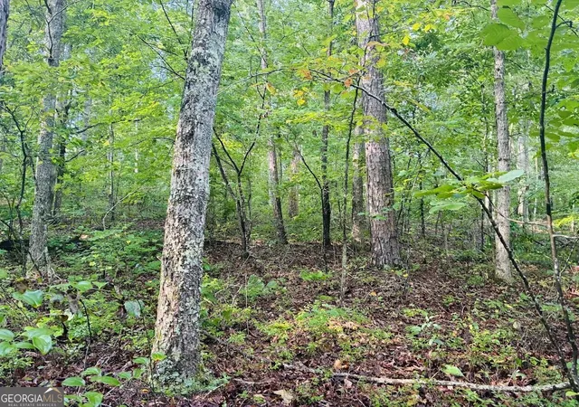 Photo 38 of Land for sale at 508 Kelley Crk Rd, Waco, GA 30182 | MLS# 10841552 | Listing updated on 2026-09-08