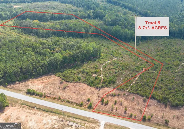 Land for sale at 0 Butler Rd, Franklin, GA 30217 | MLS# 10851249