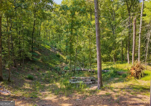 Photo 1 of Land for sale at Lot 344 Lower Knoll Ct, Talking Rock, GA 30175 | MLS# 10853405 | Listing updated on 2026-10-09