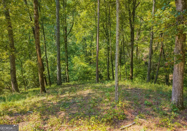 Photo 2 of Land for sale at Lot 344 Lower Knoll Ct, Talking Rock, GA 30175 | MLS# 10853405 | Listing updated on 2026-10-09