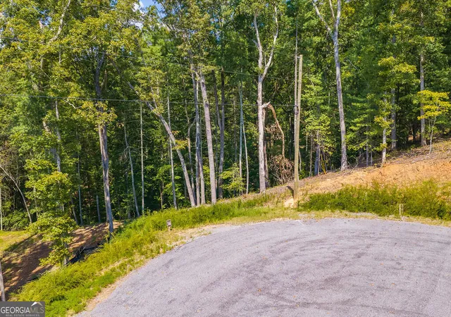 Photo 3 of Land for sale at Lot 344 Lower Knoll Ct, Talking Rock, GA 30175 | MLS# 10853405 | Listing updated on 2026-10-09