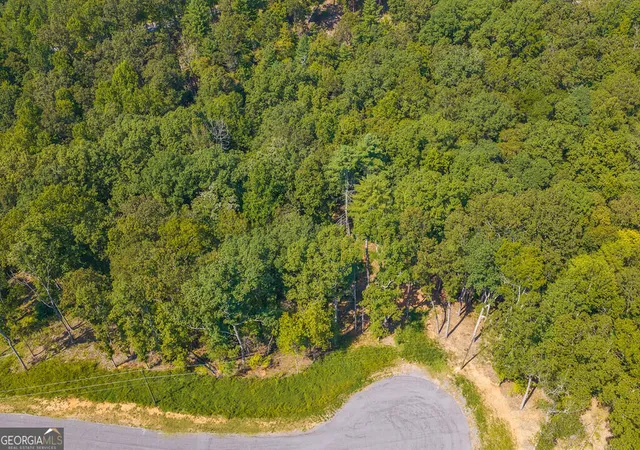 Photo 4 of Land for sale at Lot 344 Lower Knoll Ct, Talking Rock, GA 30175 | MLS# 10853405 | Listing updated on 2026-10-09