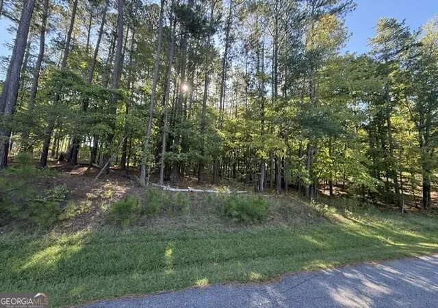 Photo 1 of Land for sale at 1040 Pinehurst Dr, Greensboro, GA 30642 | MLS# 10853361 | Listing updated on 2026-10-09