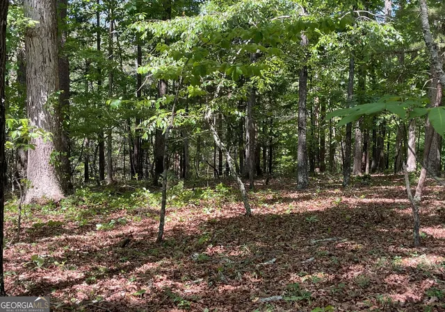 Photo 3 of Land for sale at Tract 2 Chalcrest Way, Cave Spring, GA 30124 | MLS# 10843215 | Listing updated on 2026-09-24