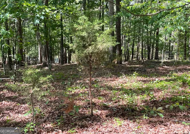Photo 3 of Land for sale at Tract 2 Chalcrest Way, Cave Spring, GA 30124 | MLS# 10843215 | Listing updated on 2026-09-24
