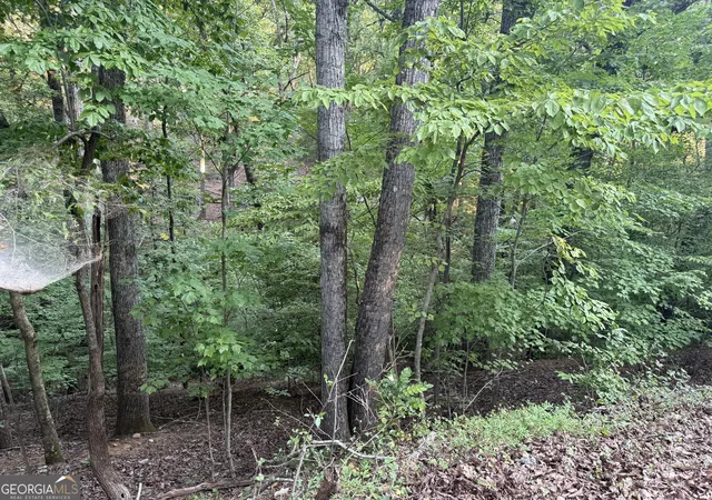 Photo 1 of Land for sale at 2329 Frd White Rd, Gainesville, GA 30506 | MLS# 10839846 | Listing updated on 2026-09-07