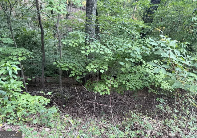 Photo 2 of Land for sale at 2329 Frd White Rd, Gainesville, GA 30506 | MLS# 10839846 | Listing updated on 2026-09-07