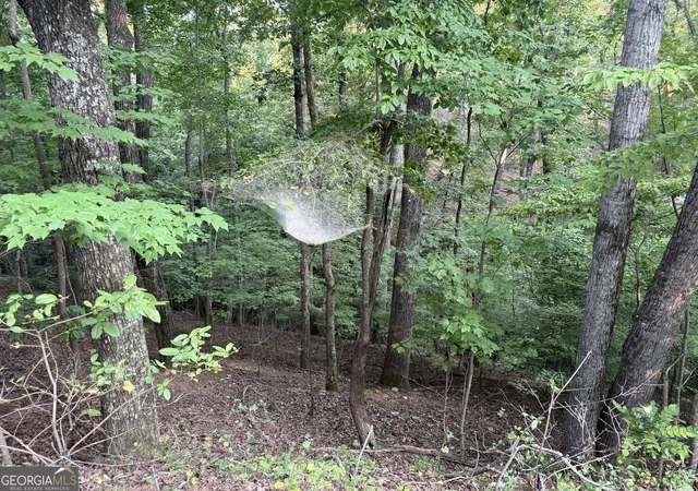 Photo 4 of Land for sale at 2329 Frd White Rd, Gainesville, GA 30506 | MLS# 10839846 | Listing updated on 2026-09-07