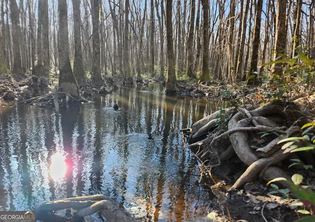 Photo 3 of Land for sale at 2911 Vinson Hwy Se, Milledgeville, GA 31061 | MLS# 10847936 | Listing updated on 2026-09-17