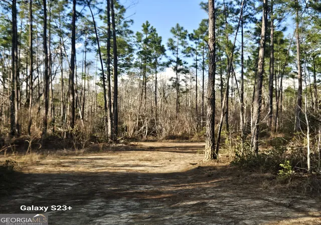 Photo 2 of Land for sale at 0 Ml Branch Clb Lot 1r Rd, Pembroke, GA 31321 | MLS# 10848462 | Listing updated on 2026-09-18