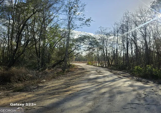 Photo 3 of Land for sale at 0 Ml Branch Clb Lot 1r Rd, Pembroke, GA 31321 | MLS# 10848462 | Listing updated on 2026-09-18