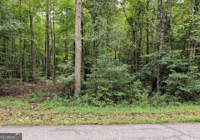 Land for sale at 194 Tahoe Trl, Martin, GA 30557 | MLS# 10851790