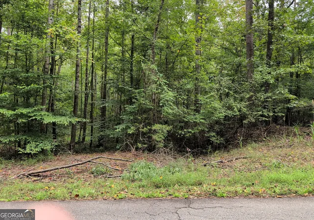 Photo 2 of Land for sale at 194 Tahoe Trl, Martin, GA 30557 | MLS# 10851790 | Listing updated on 2026-10-07