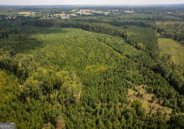 Photo 3 of Land for sale at Lot 1 Union Church Rd, Thomson, GA 30824 | MLS# 10842646 | Listing updated on 2026-09-11