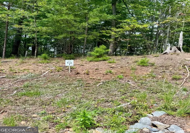 Photo 2 of Land for sale at Lot S 1 Blue Horizon Dr, Blue Ridge, GA 30513 | MLS# 10847354 | Listing updated on 2026-09-30