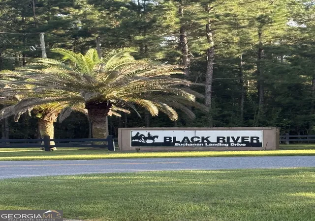 Land for sale at 0 Janells River Dr, Folkston, GA 31537 | MLS# 10842276