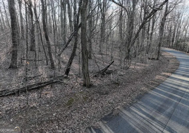 Photo 22 of Land for sale at 183 St Andrews Way, Ellijay, GA 30536 | MLS# 10674544 | Listing updated on 2026-09-04
