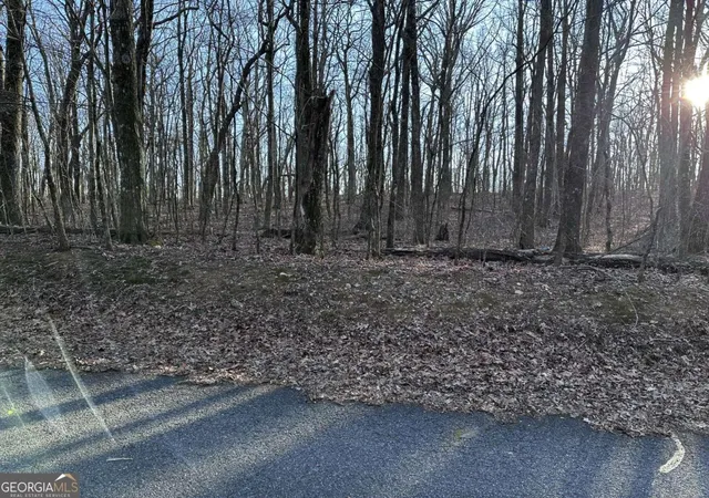 Photo 4 of Land for sale at 183 St Andrews Way, Ellijay, GA 30536 | MLS# 10674544 | Listing updated on 2026-09-04