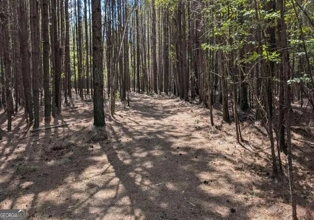 Photo 3 of Land for sale at 1088 Ballard Rd, Ball Ground, GA 30107 | MLS# 10851140 | Listing updated on 2026-10-06
