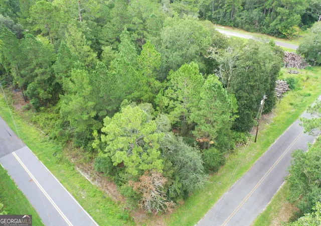 Photo 3 of Land for sale at 140 Pine St, Homeland, GA 31537 | MLS# 10844161 | Listing updated on 2026-09-30