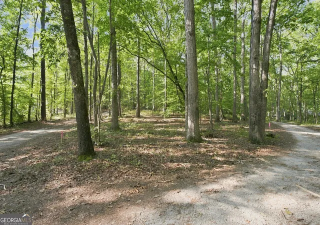 Photo 4 of Land for sale at 0 Happy Valley Cir, Newnan, GA 30263 | MLS# 10841683 | Listing updated on 2026-09-27