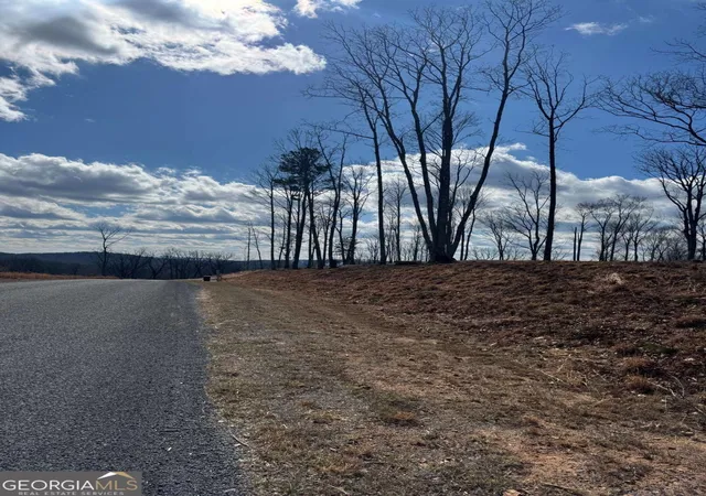 Photo 2 of Land for sale at 279 Highgrove Dr, Talking Rock, GA 30175 | MLS# 10841167 | Listing updated on 2026-09-20