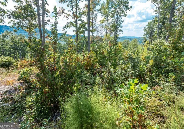 Photo 3 of Land for sale at 279 Highgrove Dr, Talking Rock, GA 30175 | MLS# 10841167 | Listing updated on 2026-09-20