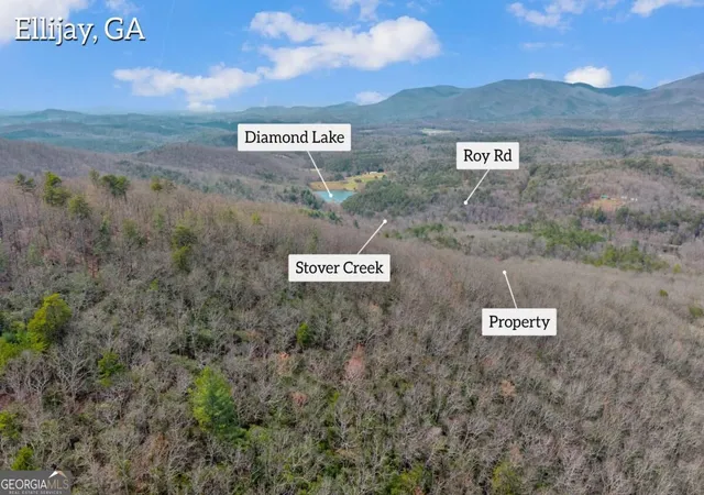 Photo 2 of Land for sale at 225 Smallwood Rd, Ellijay, GA 30536 | MLS# 10840133 | Listing updated on 2026-09-04